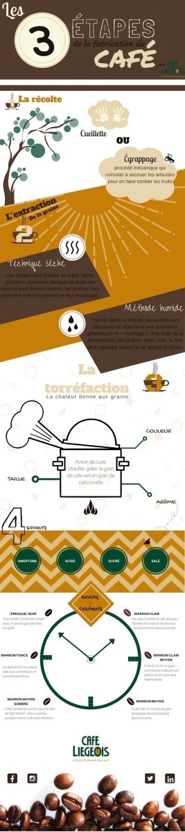 Les 3 étapes de la fabrication du café - Café Liégeois Canada Inc.