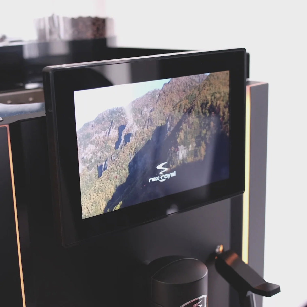 Rex - Royal - S300 Manual (CST) - Café Liégeois Canada Inc.